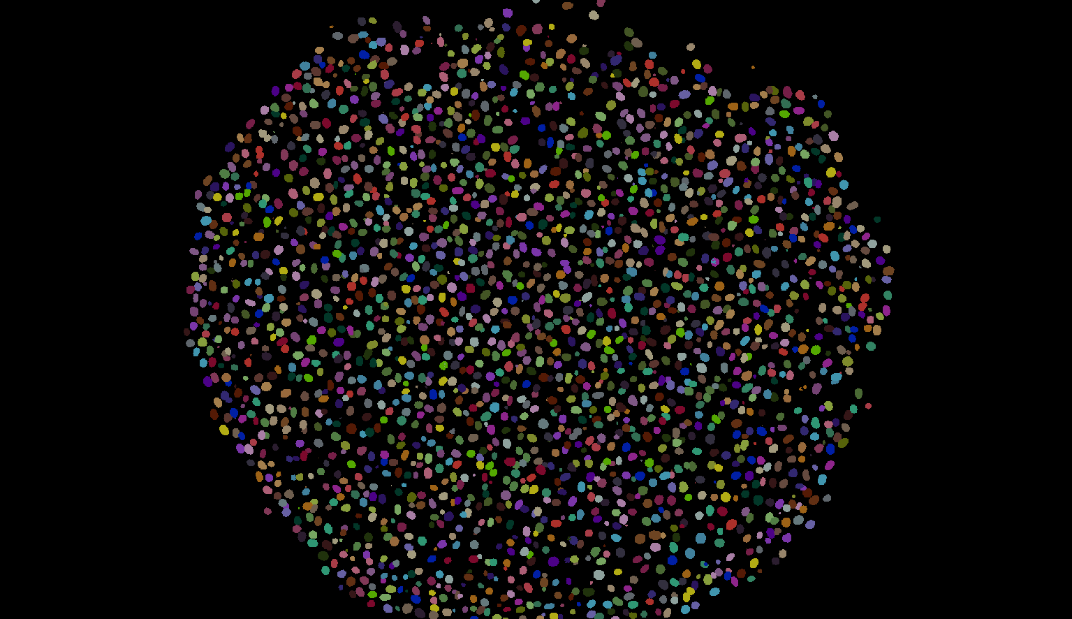 Xenopus Nuclei Labels